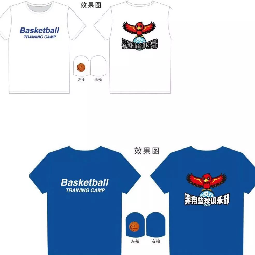 儿童篮球爱好者如何从小培养获奖能力_0